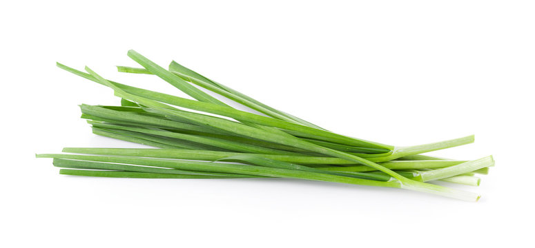 Garlic chives isolated on white background