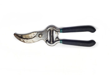 Pruning shears on white background