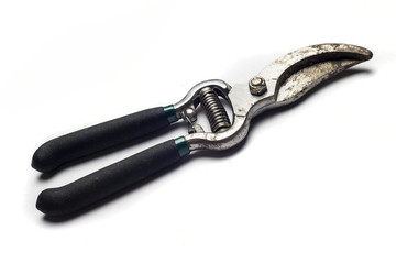 Pruning shears on white background