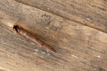 wood grain rusty nail