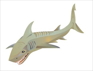 TAG SHARK logo emblem