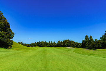 landscape of japanese golf course in chiba (No1846) - obrazy, fototapety, plakaty