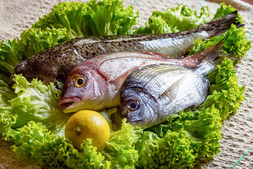 fresh see bass and sea bream with some ingredients on green salad with lemon