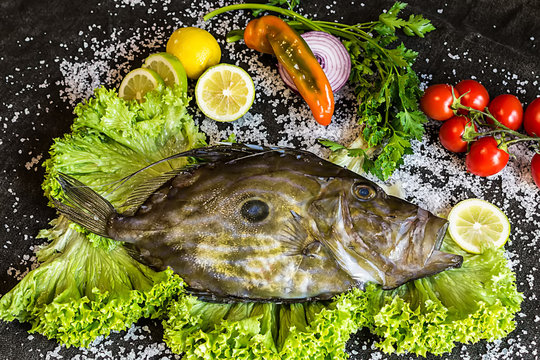 John Dory raw fish with tomatoes, lemon, salad, parsley, eat composition
