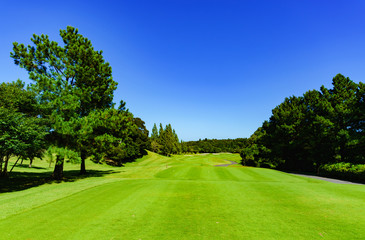 landscape of japanese golf course in chiba (No1849)