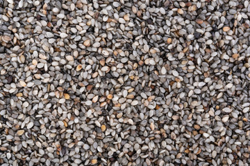 black sesame scrub seed background
