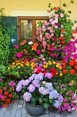 Fototapeta na wymiar house front with many flowers