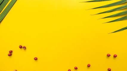 Leaves nature and red Fruit of the palm copy space yellow background