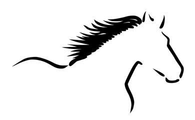 Stilisierte Zeichnung: Pferd mit wehender Mähne / schwarz-weiß, Vektor © snyGGG