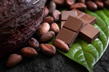Chocolate bar and cocoa beans on a dark background