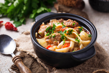 Traditional oriental uzbek soup lagman 