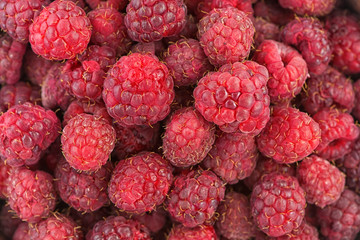 Fresh raspberries background closeup photo