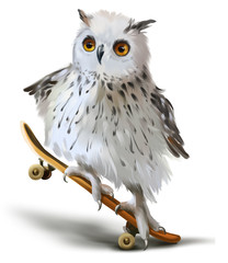 White polar owl on a skateboard