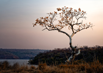 Un maravilloso paisaje en África