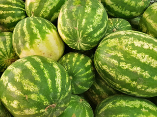 Green striped watermelons lie in the shop window
