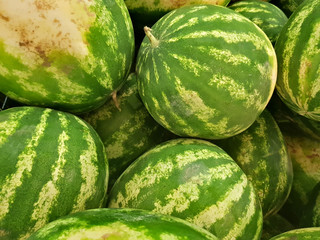 Green striped watermelons lie in the shop window
