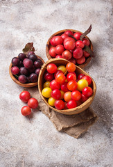 Various type of cherry-plum in wooden bowls 