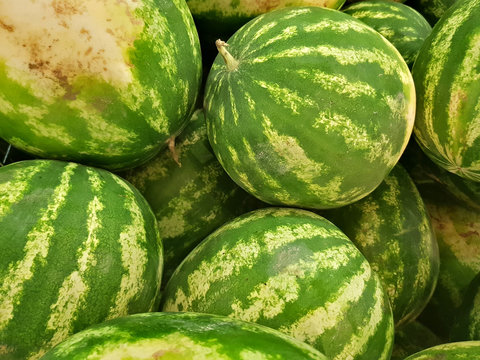 Green striped watermelons lie in the shop window
