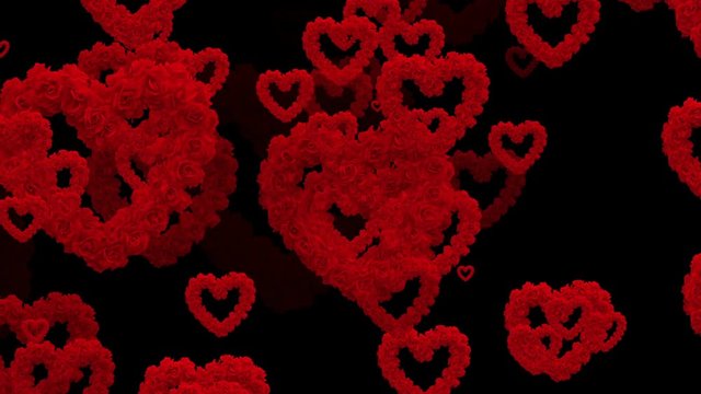 Red colorful rose and heart flying animation on black background, love and valentine day