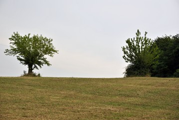  italian green countryside