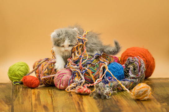 29,276 BEST Knitting Funny IMAGES, STOCK PHOTOS &amp; VECTORS | Adobe Stock