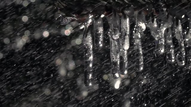 Glittering frozen icicles on fir branches under the heavy rain against dark conifer background in super slow motion. Epic vivid scene of wet forest with water droplets.
