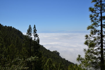 Teneriffa 2018