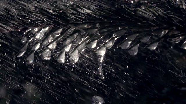 Super macro shot of glittering frozen icicles on fir branches under the heavy rain against dark conifer background in extreme slow motion. Epic vivid scene of wet forest with water droplets.
