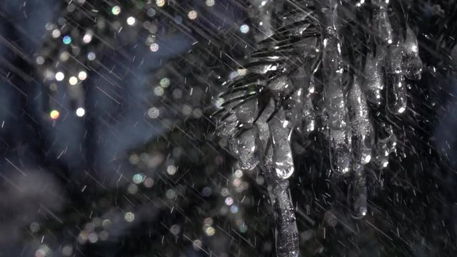 Glittering fir branches with frozen icicles under heavy rain against colorful sparkling conifer background in slow motion. Closeup Christmas scene of magic forest with water droplets. 
