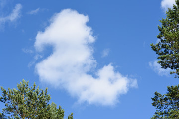Cloud in the form of a horse-hunchback