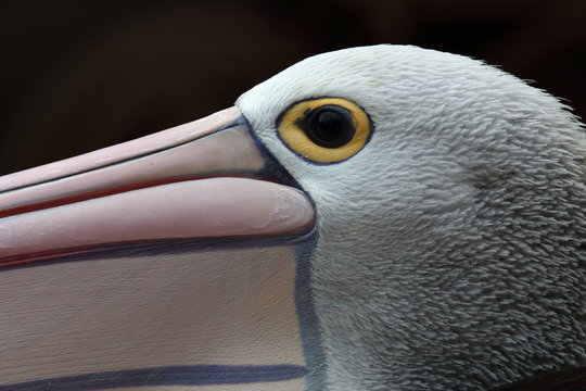 je te tiens &agrave; l'oeil