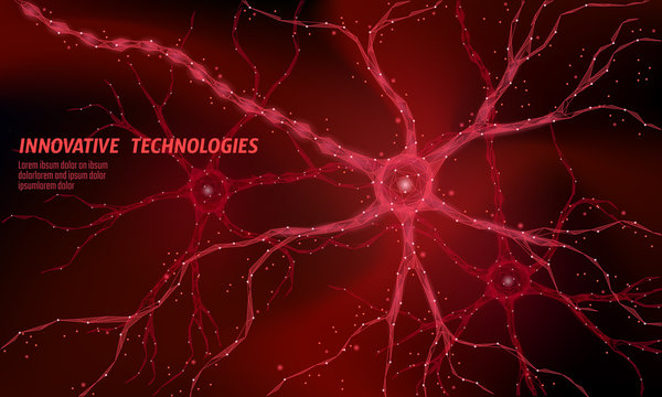 Human neuron low poly anatomy concept. Artificial neural network technology science medicine cloud computing. AI 3D abstract biology system. Polygonal red glowing vector illustration