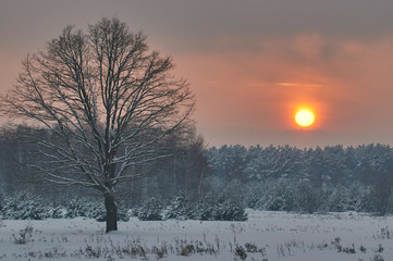 Zachód słońca, zima, śnieg - 213834418