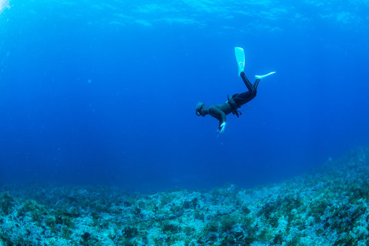 鷹のように獲物を探す海女