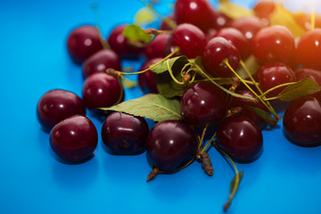 Close-up of a group of cherries on a blue background