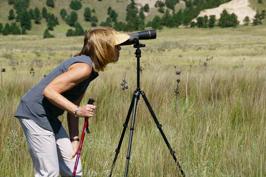 Woman looking thru a spotting scope at Big Horn Sheep