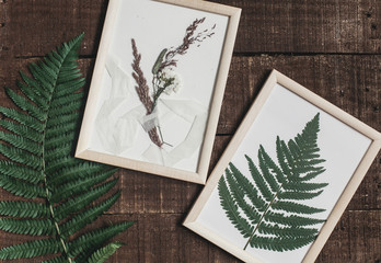 rustic boutonniere and fern leaf under glass in frame on wooden rustic background with fern leaves. barn wedding concept. top view. natural forest decoration