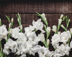 beautiful white gladioluses on rustic wooden background top view. stylish gladioli on rustic brown...