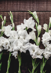beautiful white gladioluses on rustic wooden background top view. stylish gladioli on rustic brown wood, space for text, holiday greeting card. floral flat lay, spring image