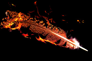 feather on fire on black background