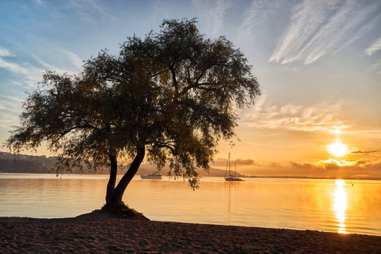 Murtensee (Lac de Morat) 