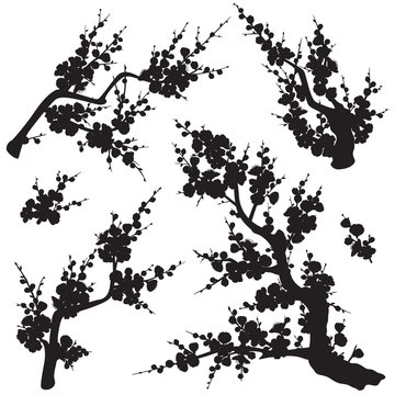 Plum Blossom Branches Silhouette Set