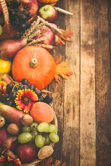 Autumn harvest, fresh autumn fruits