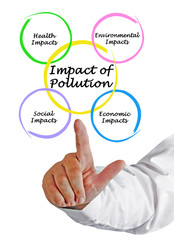 Impact of pollution