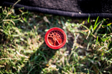 Przyprawa do grila © andsko