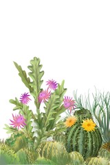 Original art Cactus drawing painting background and frame