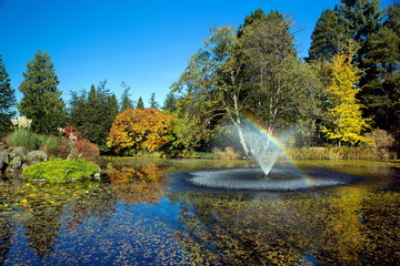 Pond with fountain inVan Dusen Park,  sunny  autumn day Rainbow in Fountain  colorful view, green and yellow trees on the background of blue sky