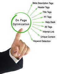 On Page Optimization.