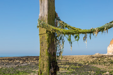 Old fishing nets wrapped around a wooden groyne on a Sussex beach