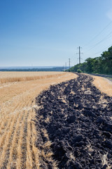 Fire residue of agricultural field